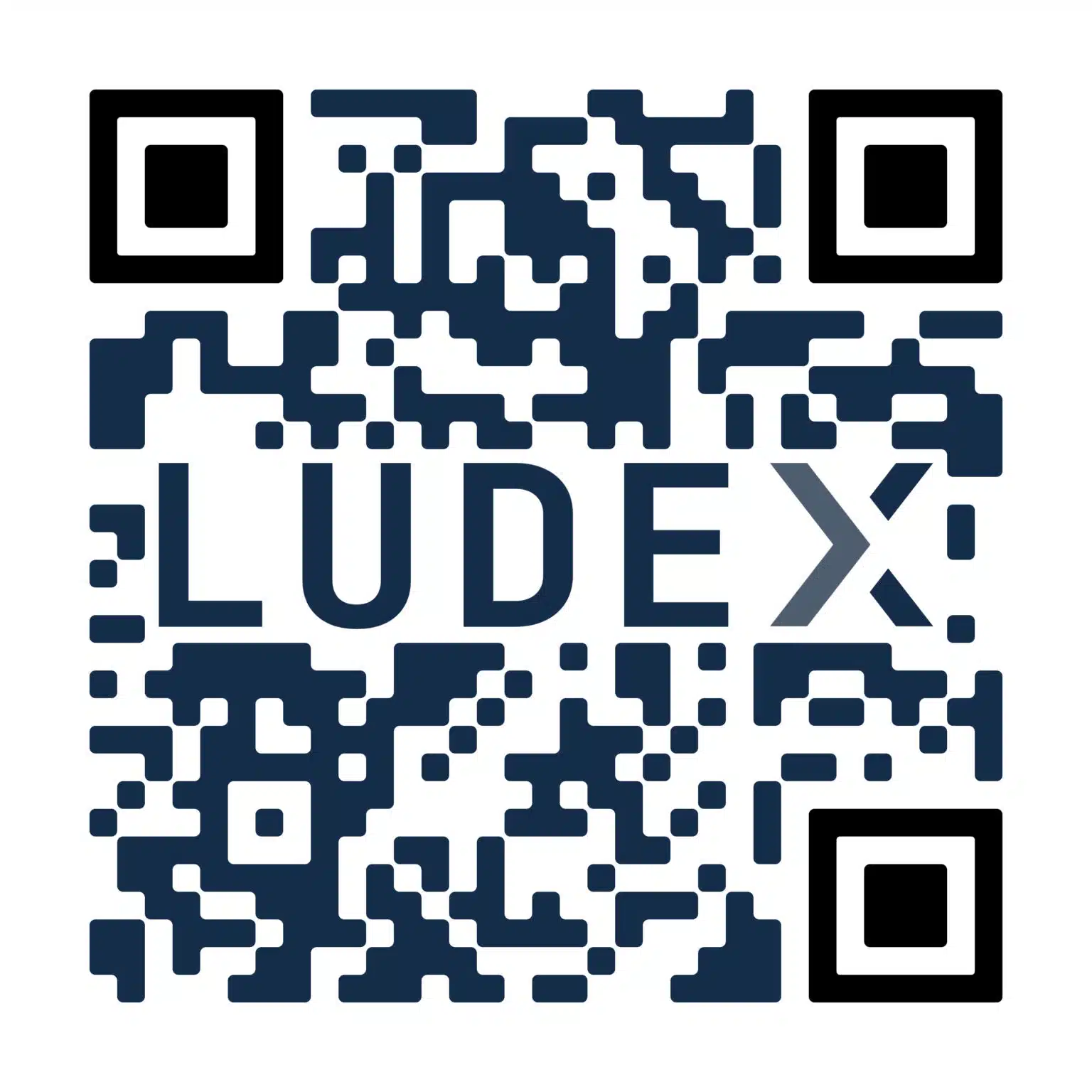 Ludex Logo